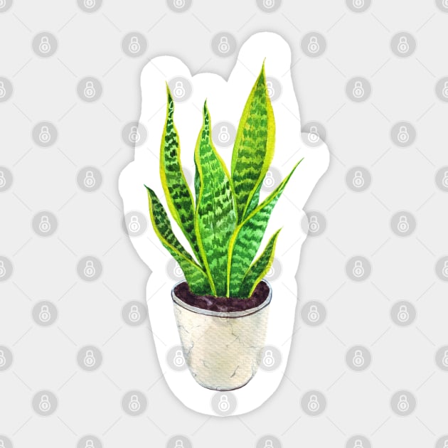 Potted Snake plant Sansevieria Watercolor botanical illustration Sticker by Wolshebnaja